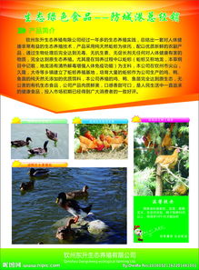 舌尖上的鄉(xiāng)野饋贈 高品質(zhì)農(nóng)副產(chǎn)品，源自自然，健康守護(hù)